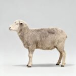 freepik_assistant_1760035120884