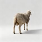 freepik_assistant_1760035122825