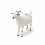 freepik_assistant_1762087379875