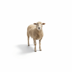 freepik_assistant_1762087609009